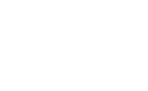 White logo for Pro Painting Services by J&G Smart Services